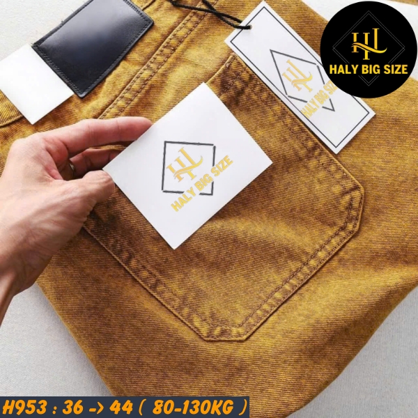 H953-Quan-short-form-ngan-tren-goi-big-size-nam