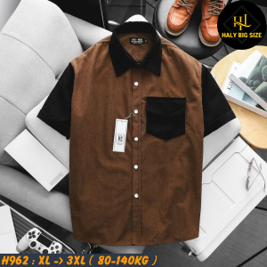 H962-Ao-SMTN-nhung-tam-phoi-mau-big-size-nam