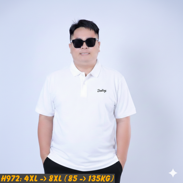 H972-Ao-thun-polo-nam-big-size (15)