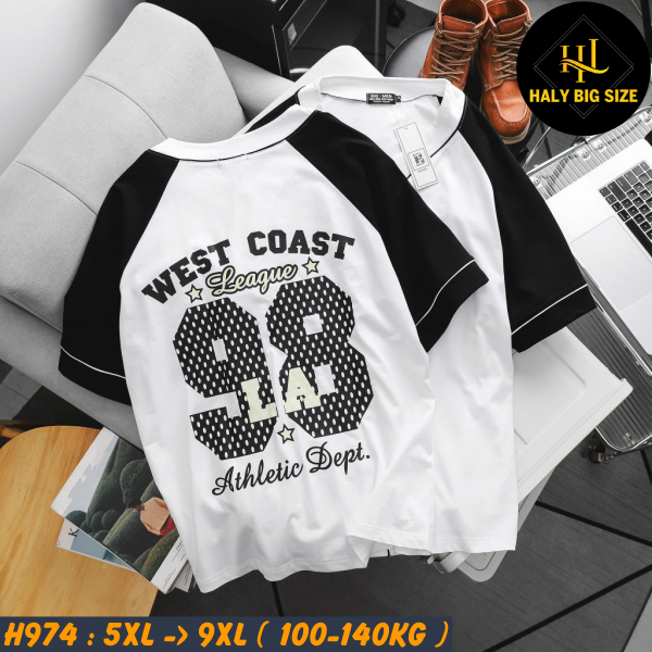 H974-Ao-thun-cai-nut-big-size-nam