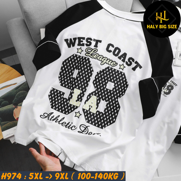 H974-Ao-thun-cai-nut-big-size-nam