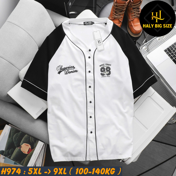 H974-Ao-thun-cai-nut-big-size-nam