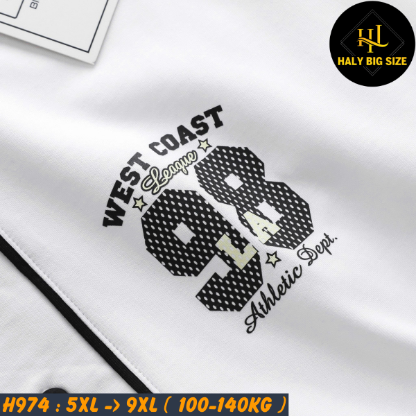 H974-Ao-thun-cai-nut-big-size-nam