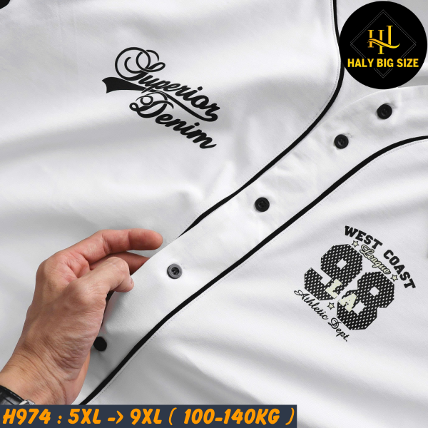 H974-Ao-thun-cai-nut-big-size-nam