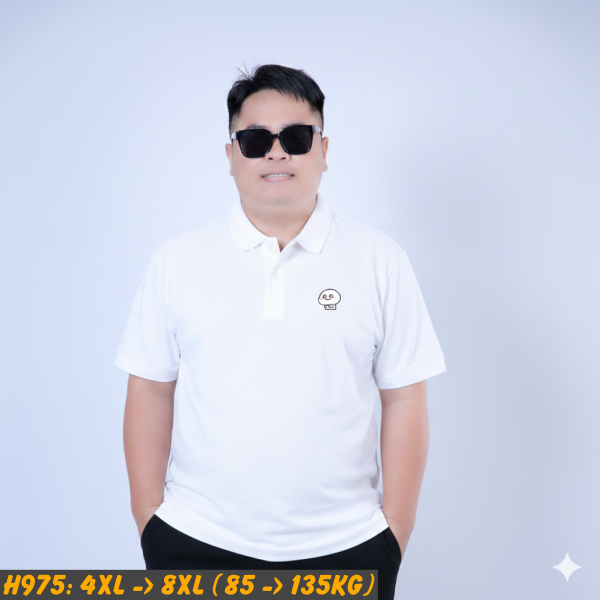 H975-ao-thun-nam-size-lon