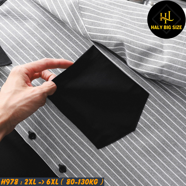 H978-AO-smtn-oxFORD-BIG-SIZE-NAM