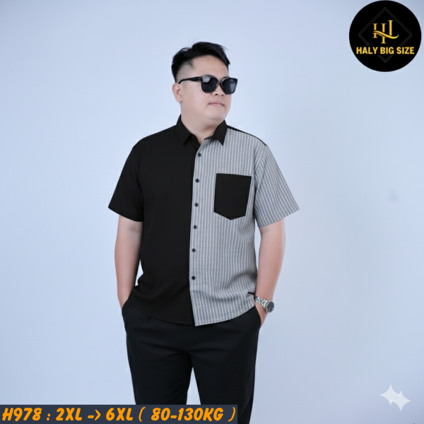 H978-AO-smtn-oxFORD-BIG-SIZE-NAM