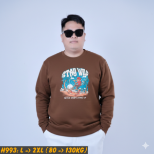 H993-ao-thun-nam-tay-dai-big-size (1)