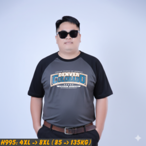 H995-ao-thun-nam-big-size