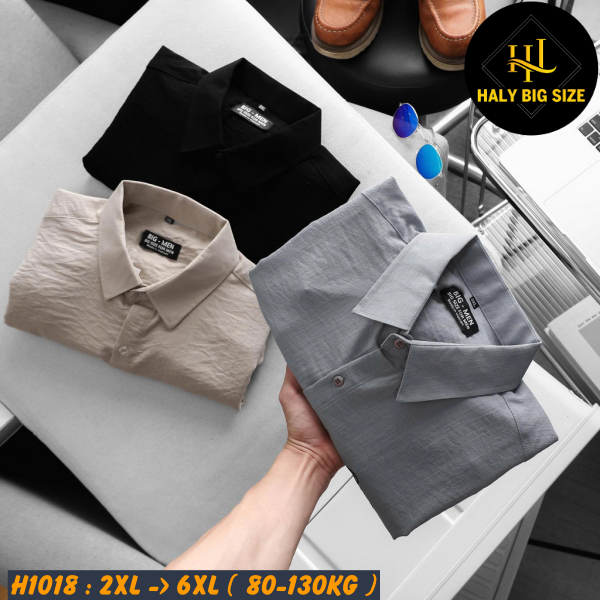 H1018-Ao-SMTD-vai-dui-theu-chu-big-size-nam