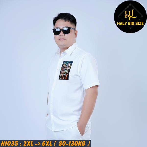 H1035-Ao-SMTN-kate-lua-in-chu-NYC-big-size-nam